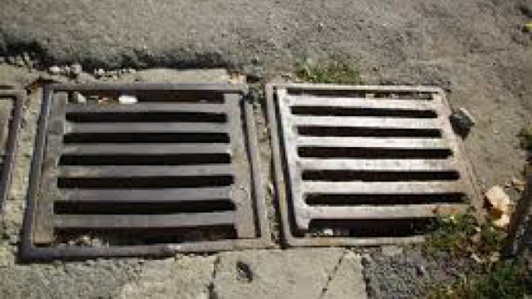 Започва зимно-пролетната обработка срещу гризачи във Варна