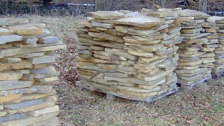 Надник от 1000 лв. на ден изкарват роми