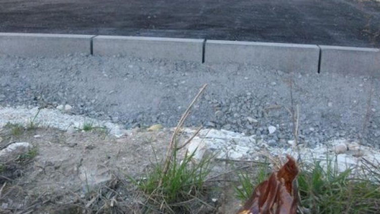 Дете откри череп в двора на забавачка в Пловдив