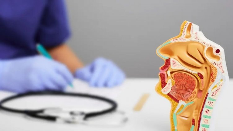 Безплатни прегледи на слуха организират във Варна