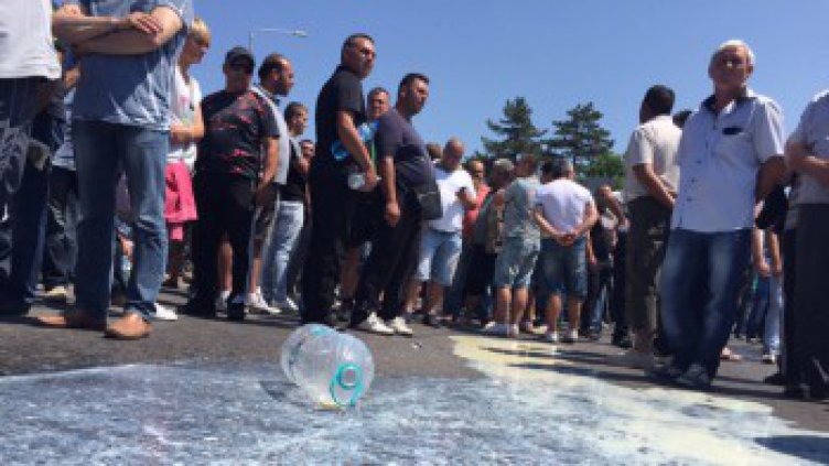Министрите на земеделието на страните от ЕС обсъждат през септември проблемите на животновъдите и млекопроизводителите