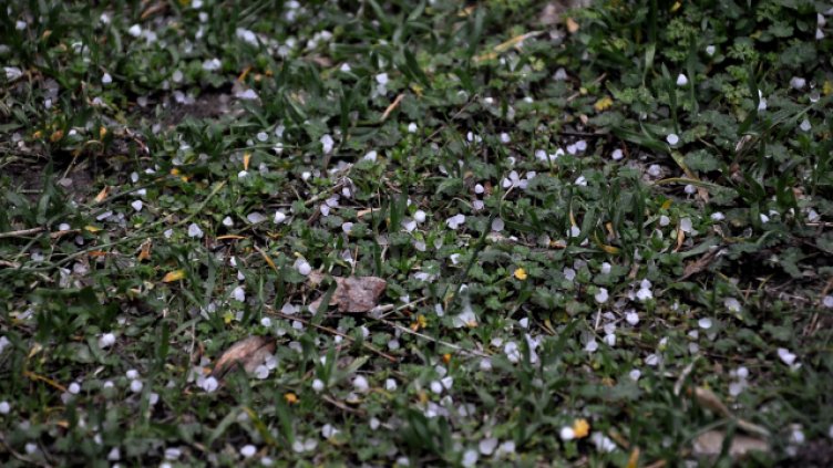 Снимка Пламен Гутинов, архив