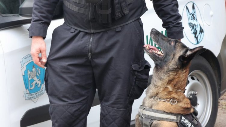 Спецоперация по границата с Турция: Спипаха 275 нелегални мигранти