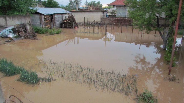 Снимка: karlovo.tv