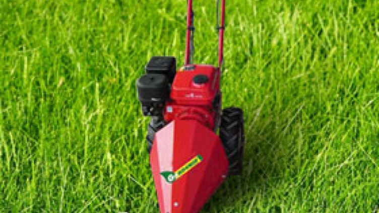 Пускат косачките в Долни чифлик