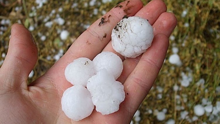 4 млн. лева ще компенсират щетите на фермерите от природни бедствия