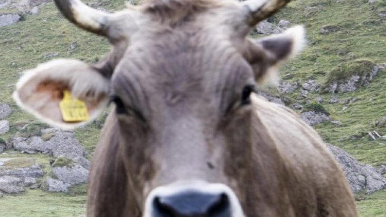 Снимка: Ройтерс