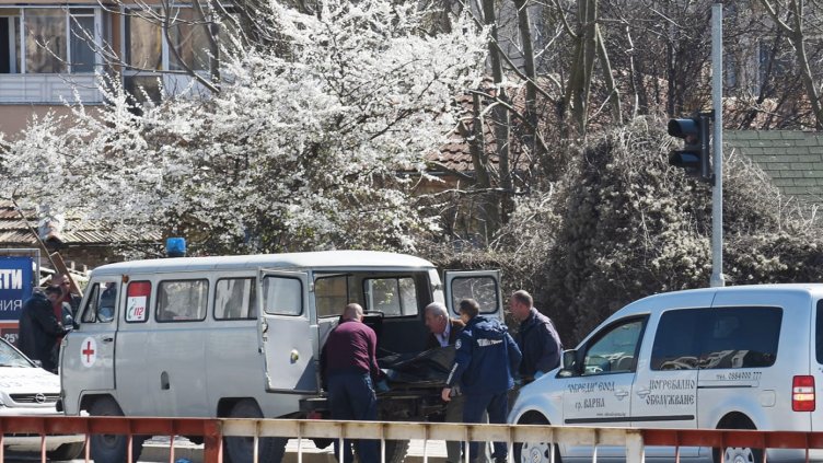 Снимка Пламен Гутинов