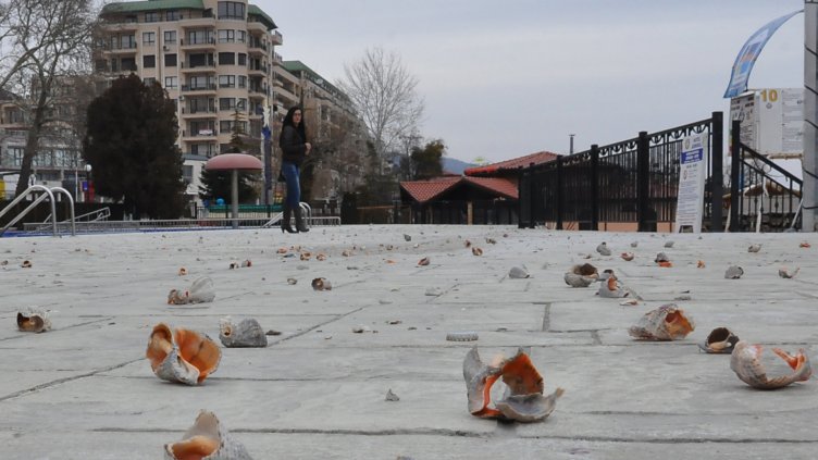 Рапани валят от небето на Златните (СНИМКИ)