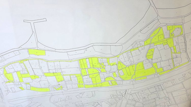 Започва санитарна сеч в Морската градина на Варна