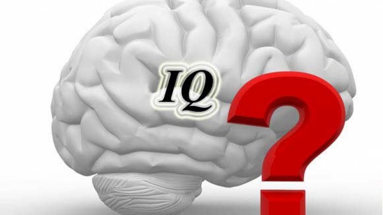 Опитайте се да решите най-краткия IQ тест