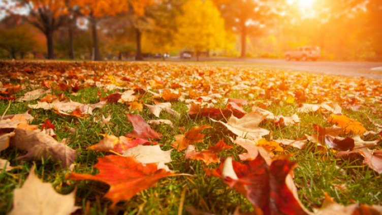 Слънце за последния ноемврийски ден