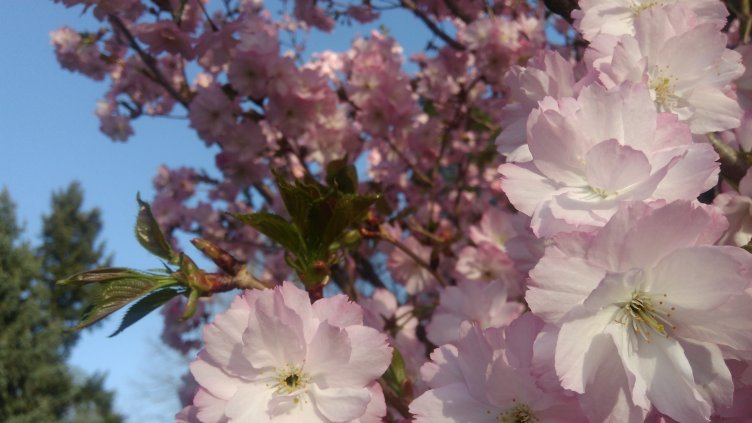 Какво ще бъде времето на Благовещение?