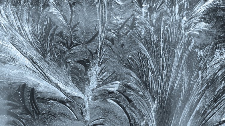 Днес празнуват всички снежни имена