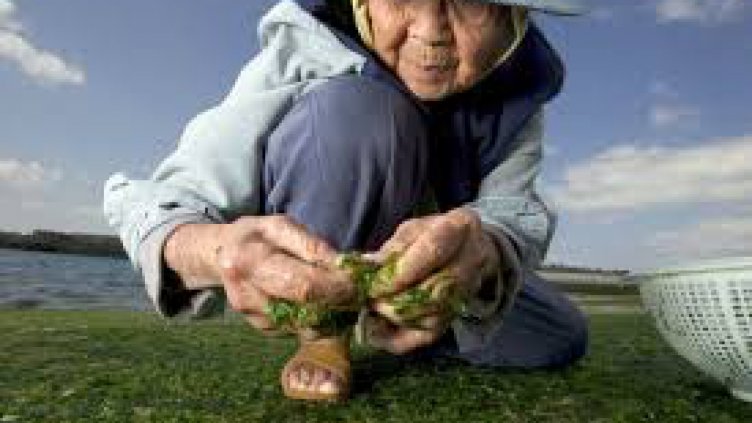 Японската префектура Окинава - рекордьор по столетници