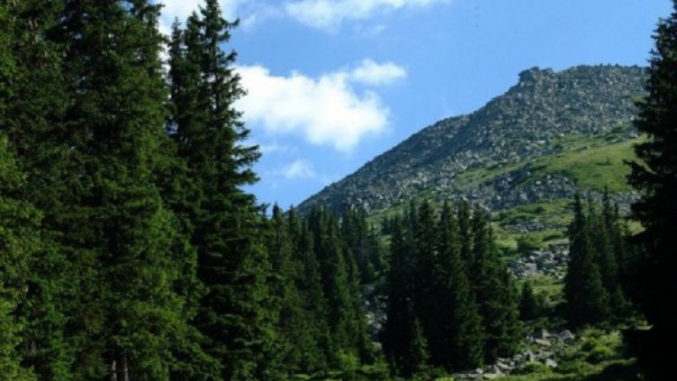 И куче ще търси изгубилия се младеж на Витоша