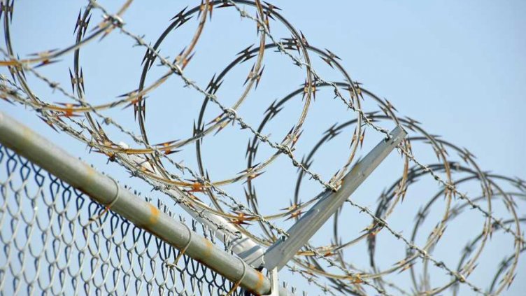 Австрия готви ограда по границата си с Унгария