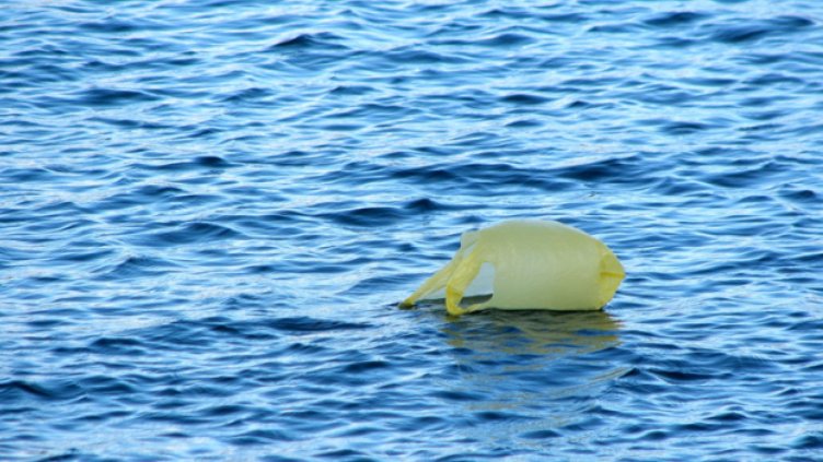 Днес е Международният ден без найлонови торбички