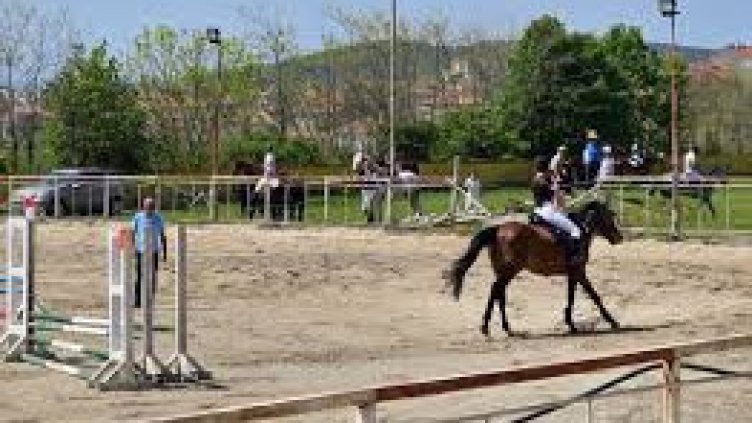 Община Варна търси кой да ремонтира конната база във „Виница“