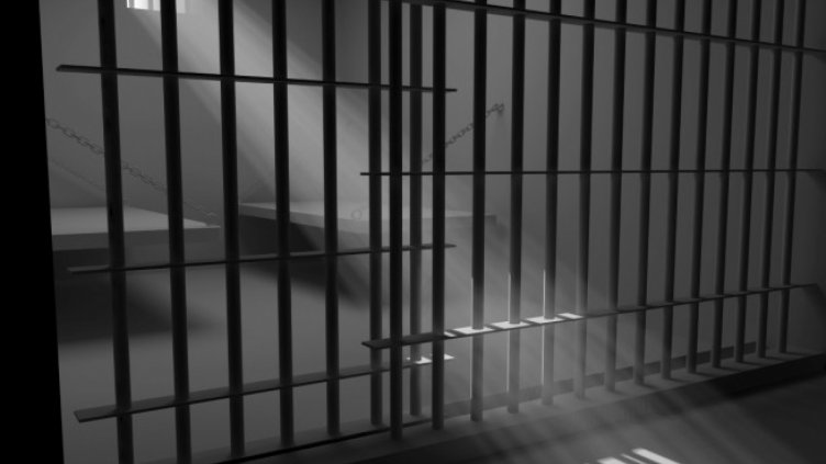 По 8 месеца затвор за трима мигранти, незаконно преминали границата на България