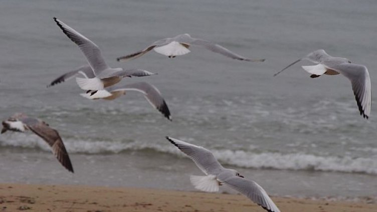 Облачно и със слаби превалявания