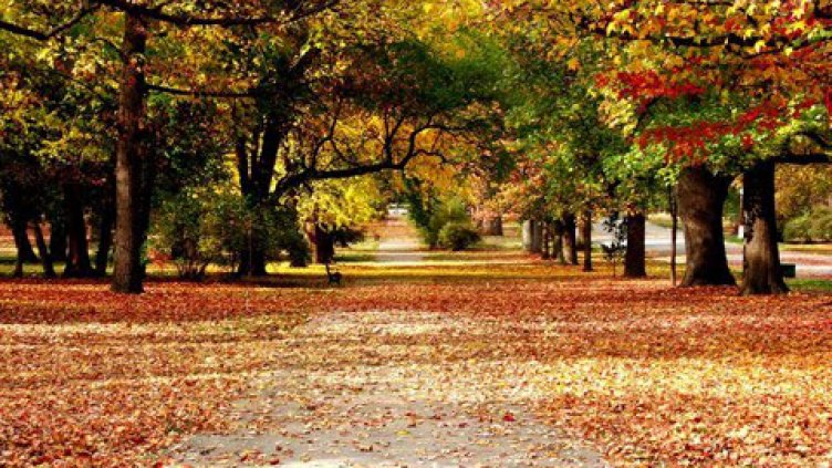 Преди обяд слънчево, следобяд облачно