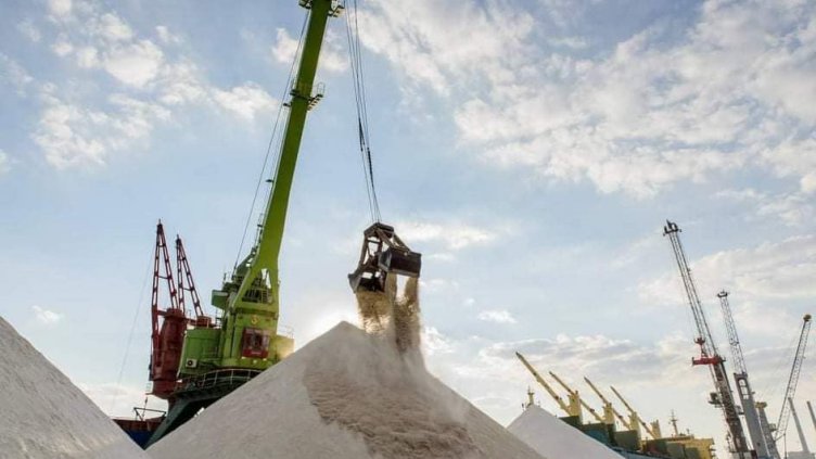 Над 15 млн. тона украинско зърно мина през "зърнения коридор" в Черно море