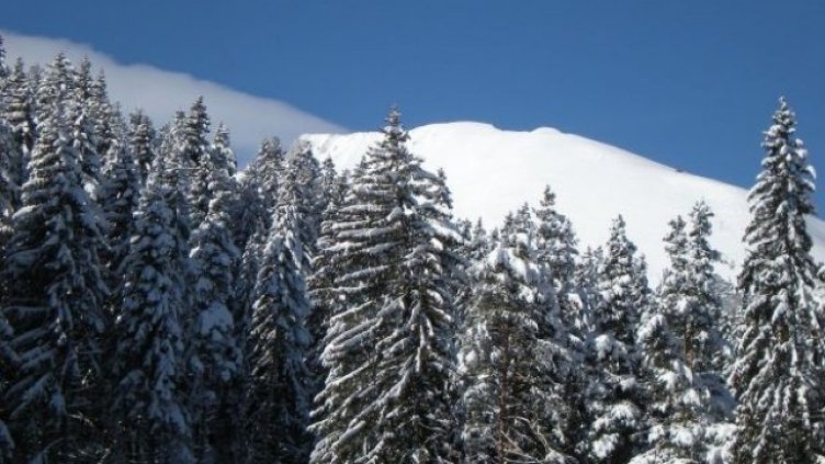Българинът хвана гората, има все повече планинари  