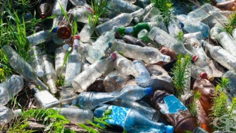 Снимка: Фрамар