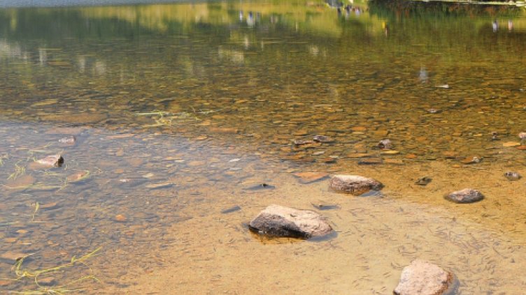 1.5 млн. лв. за рибарските общности