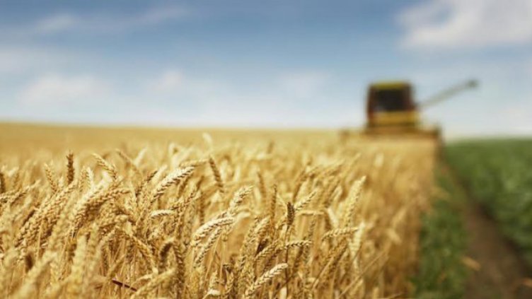 Земеделците ще могат да заявяват онлайн новите трудови договори