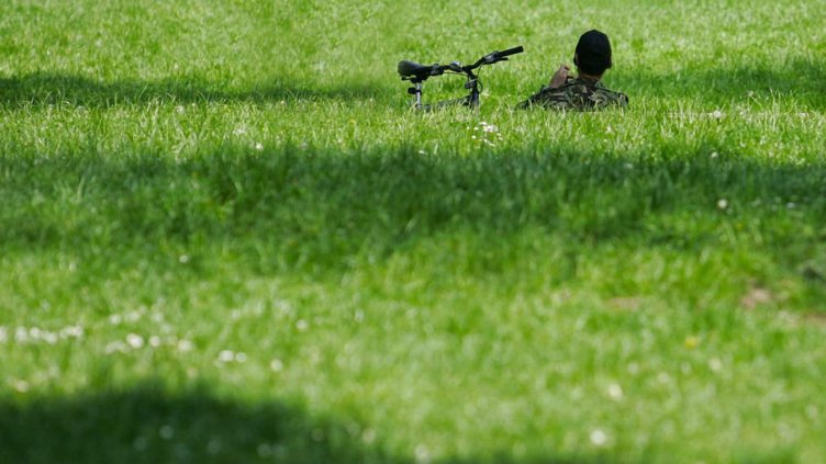 По 4-5 души ухапани от кърлеж на ден във Варна