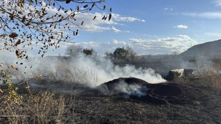 Пожар горя отново в Невша 