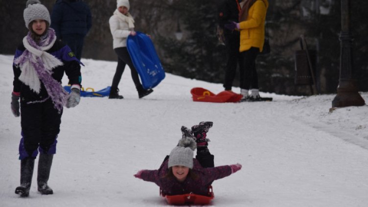 Снимка Пламен Гутинов