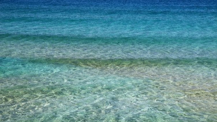 Бързото нагряване на океаните разтревожи учените