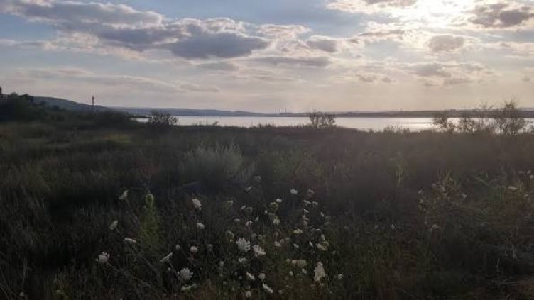 Взеха проби от Варненското езеро след сигнали за замърсяване и мъртви делфини