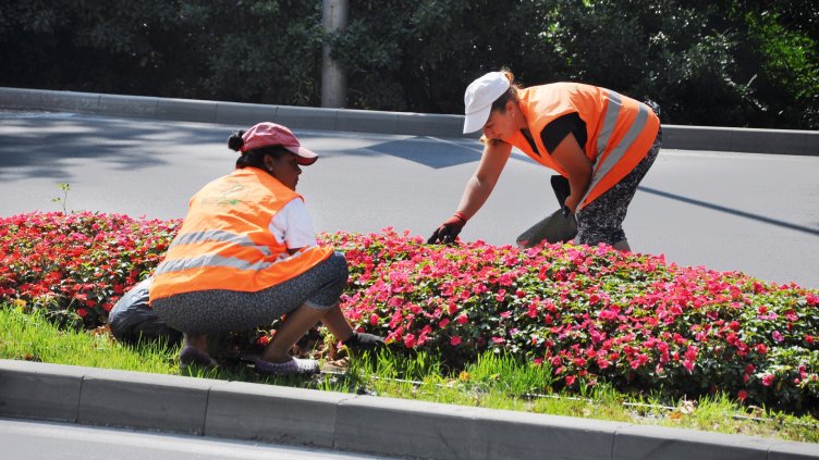 Снимки: Ели Маринова