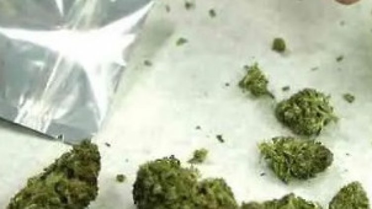 Бърза присъда за студент, спипан с трева за 5 лв. във Варна