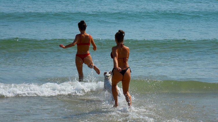 Преди лятото да си е отишло... (СНИМКИ)