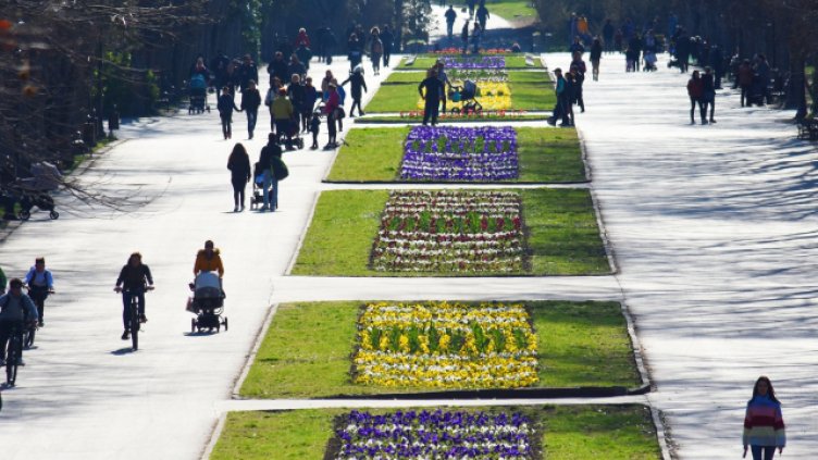 Снимка: Пламен Гутинов, архив