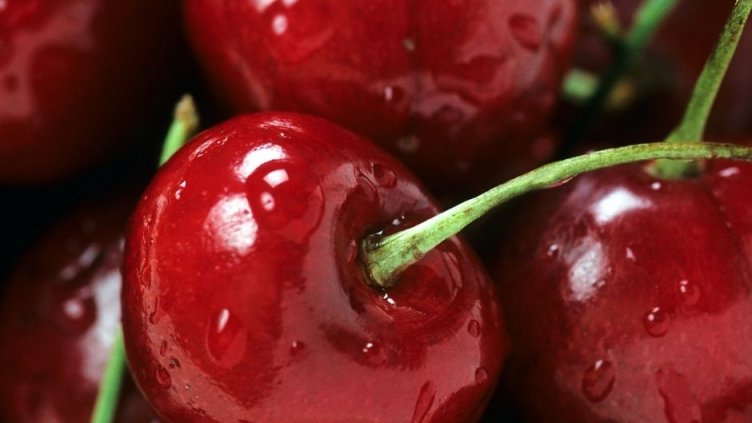 10 лева кило череши! Студовете и снеговете през април поразиха реколтата