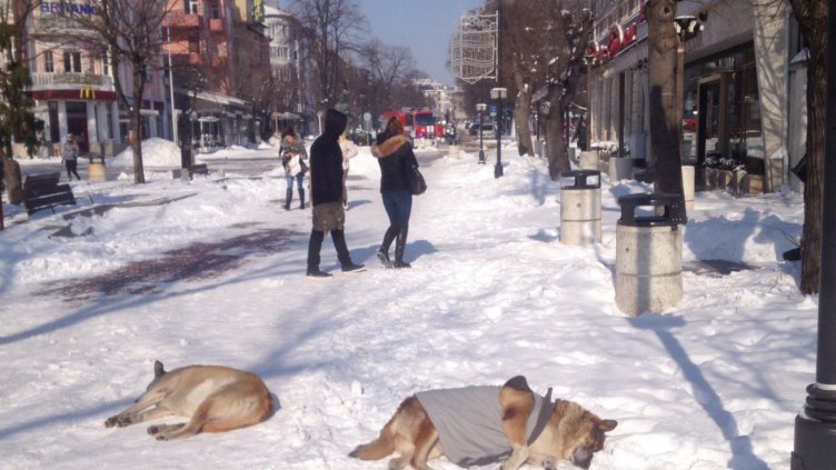 Слънцето изкара хората по ларгото във Варна
