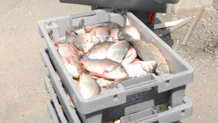 Бракониери спипани с мрежи и незаконен улов