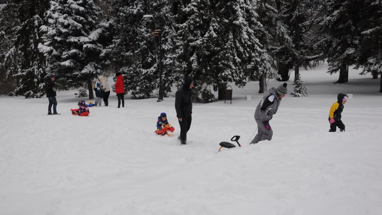 Снимка Пламен Гутинов