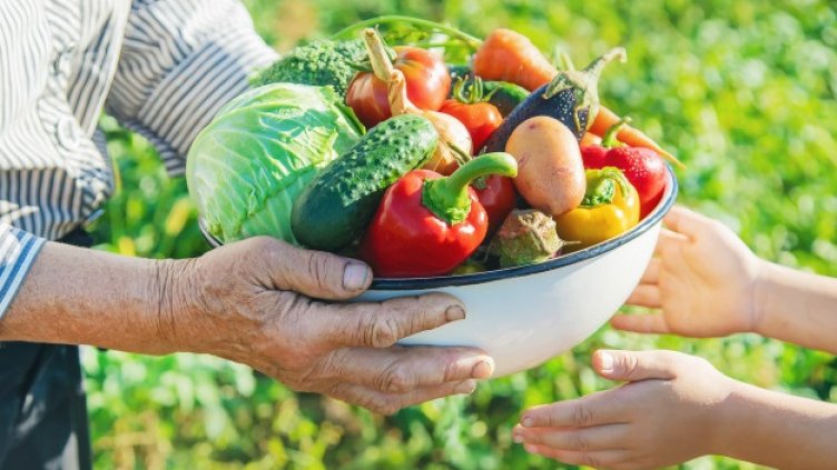 Задава се недостиг на български оранжерийни зеленчуци на пазара през зимата 