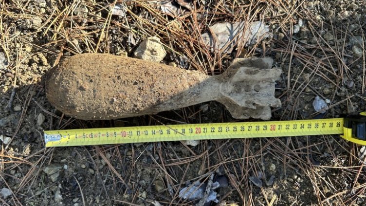 Обезвредиха мина, намерена на горска пътека край София