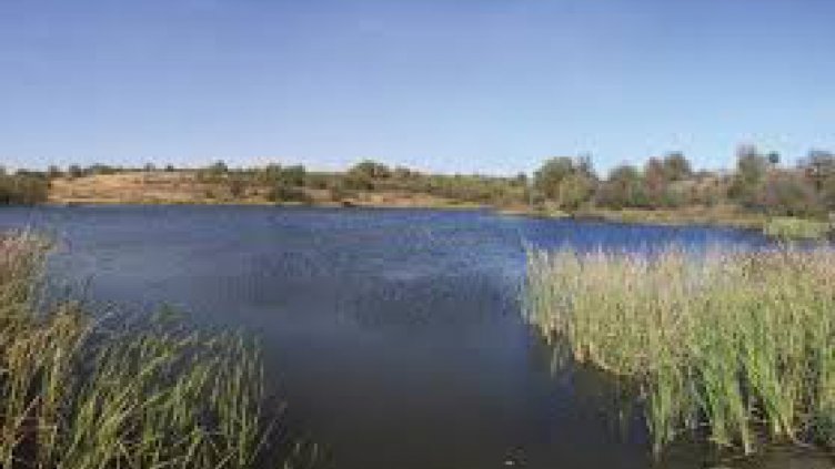 Проверяват опасните водоеми край Варна