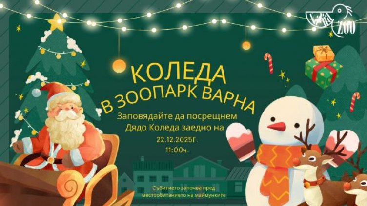 Варненският зоопарк кани децата на празнична среща с Дядо Коледа