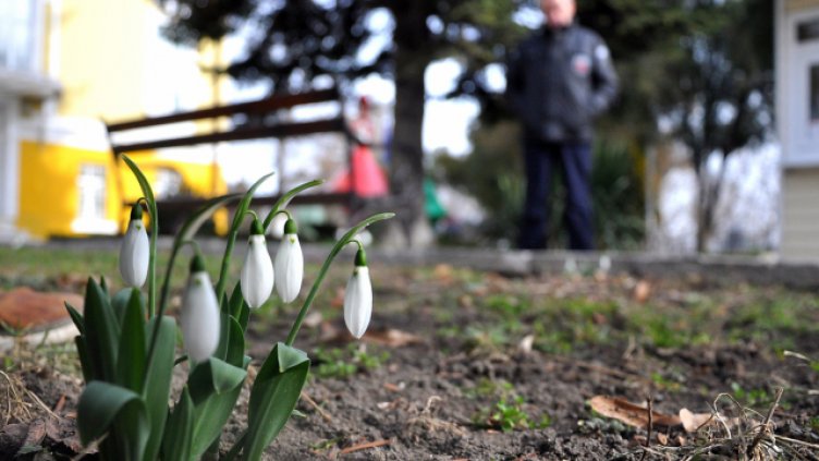 Снимка Пламен Гутинов, архив
