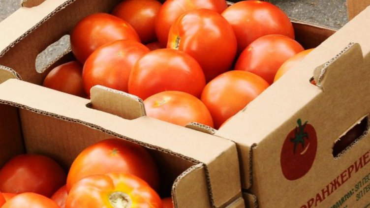 Доматите поевтиняват, краставиците поскъпват